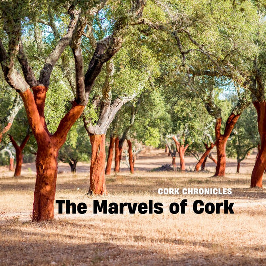 The Marvels of Cork - Texas Cork Company