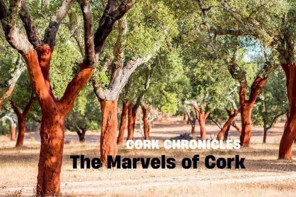 Marvels of Cork with cork trees in background
