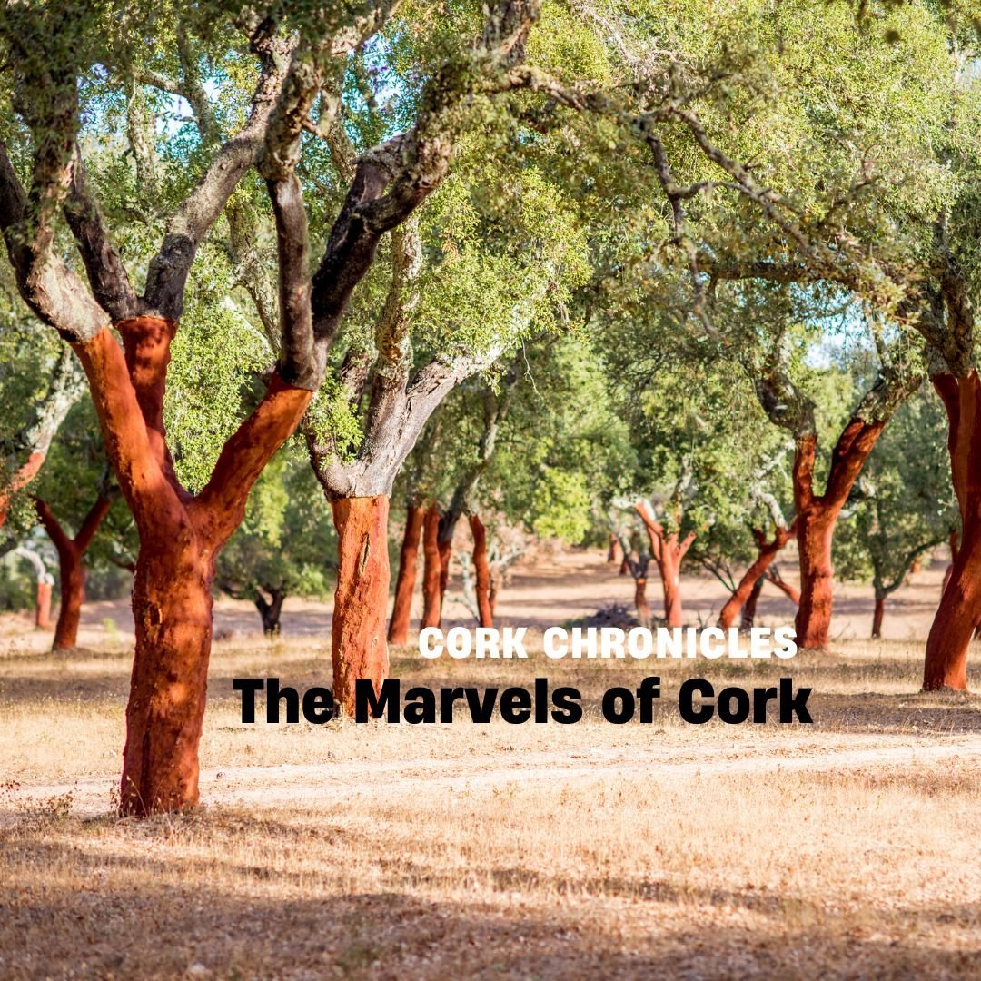Marvels of Cork with cork trees in background