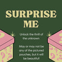 Surprise Me!